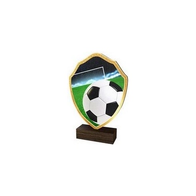 Poháry Bauer Dřevěná plaketa TFRW001 Fotbal