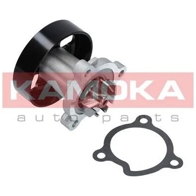 KAM-T0221