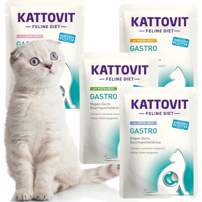 KATTOVIT Feline Diet Gastro Box 12 x 85 g