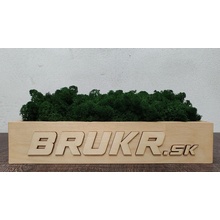 Stabilizovaný mach - Nórsky lišajník - forest green ( tmavo zelený ) 1kg