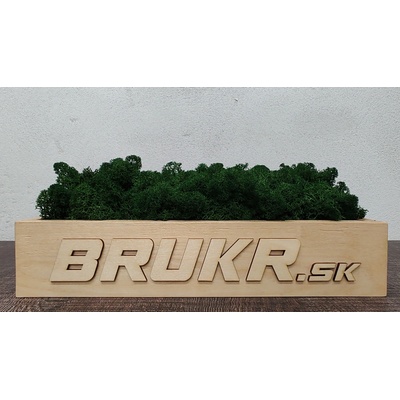 Stabilizovaný mach - Nórsky lišajník - forest green ( tmavo zelený ) 25Kg