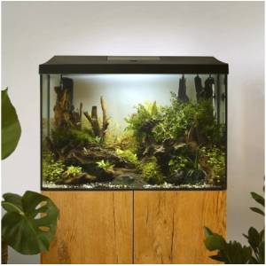 AQUAEL Aквариум AquaEl LEDDY 60 XL DAY&NIGHT (5939)