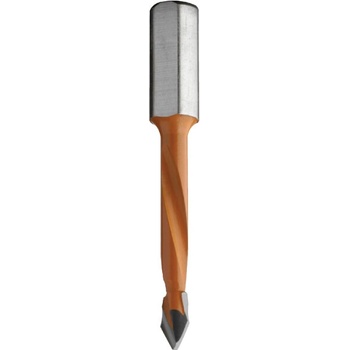 IGM C36805011