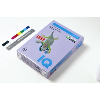 IQ LA12