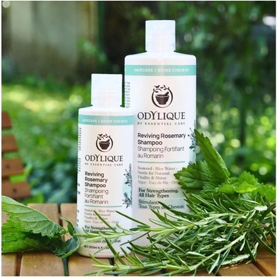 Odylique Bio Revitalizační šampon Rozmarýn 500 ml