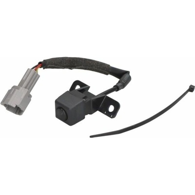 BLIC 6006-00-0039P