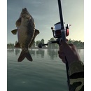 Ultimate Fishing Simulator
