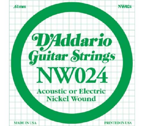 D'Addario NW 024