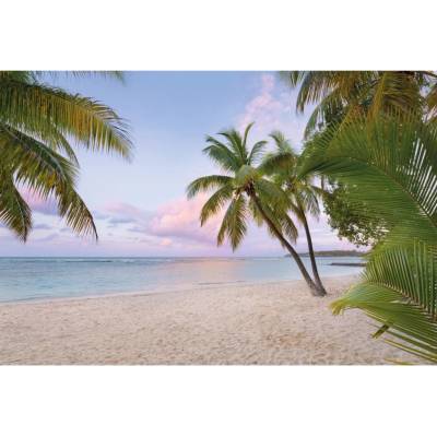 Komar Vliesová fototapeta Paradise Morning rozměry 368 x 248 cm