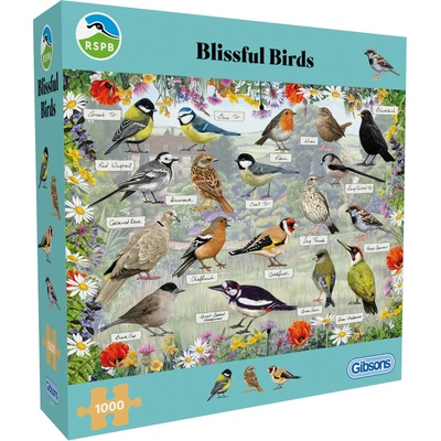 GIBSONS RSPB Šťastní ptáčci 1000 dílků