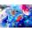 Enjoy - Puzzle Deep Sea Galaxy - 1 000 piese