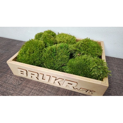 Stabilizovaný mach – Kopčekový – Mood moss – light green 10ks