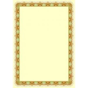 Galeria papieru Argo Diploma ZLOTO 170g