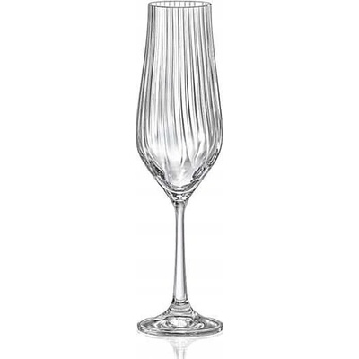 Crystalex Sklenice na sekt TULIPA OPTIC 6 x 170 ml