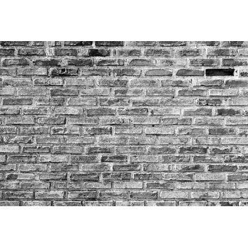 DIMEX ART s. r. o Флизелинов фототапет сив тухлен фон 375 x 250 см