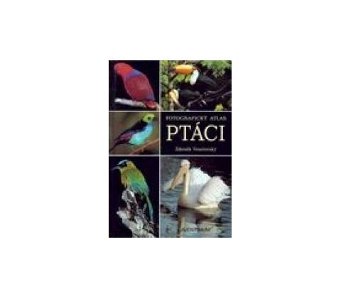 Ptáci