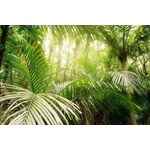 DIMEX ART Флизелинов фототапет зелени листа в джунгла 375 x 250 см