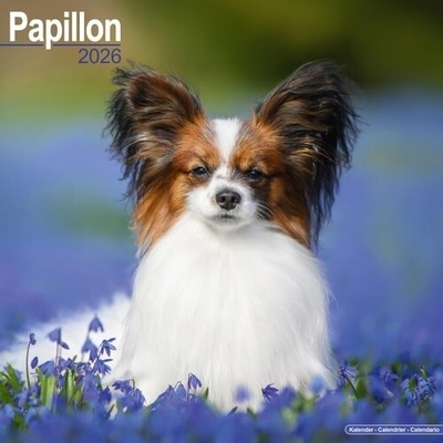 Papillon Square Dog Breed Wall 16 Month 2026