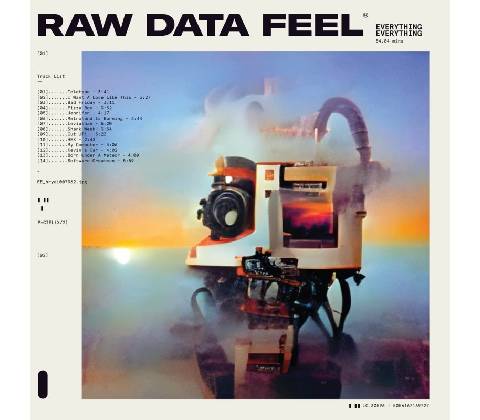 Everything Everything - Raw Data Feel Cl LP