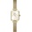 Daniel Wellington DW00100656