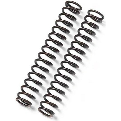BITUBO Fork springs kit BITUBO K=1.00 (0.90-1.10) (+1 Lt. Oil)
