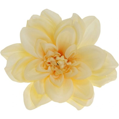 HLAVA DAHLIA 14CM BAL.12KS KRÉM