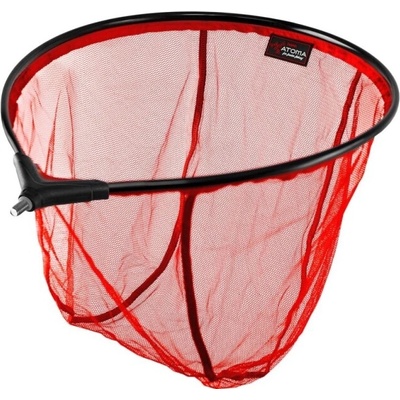 Delphin Podberáková Hlava Atoma FD 60x50cm
