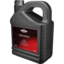 Briggs & Stratton SAE 30 5 l