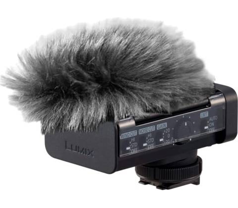 Panasonic DMW-DMS1E