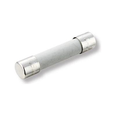 Pojistka trubičková keramická F 10,0A 250V 5x20mm s hasivem