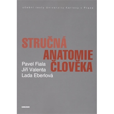 Stručná anatomie člověka