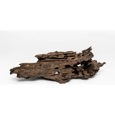 Rataj Mangrove Wood 0,5-0,8 kg