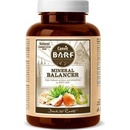 Canvit BARF Mineral Balancer 260 g