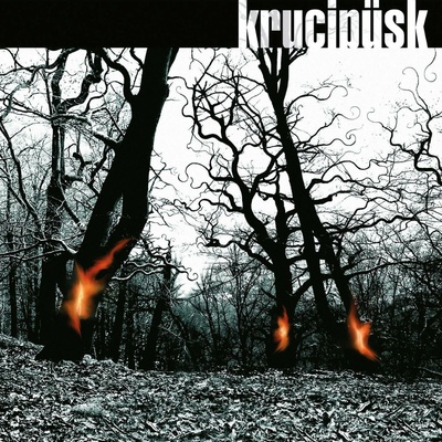 KRUCIPUSK - DRUIDE - 20TH ANNIVERSARY REMASTER LP
