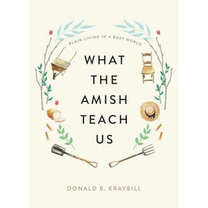 What the Amish Teach Us | Donald B. Kraybill (ISBN: 9781421442174)