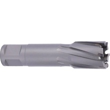 ABSE N-CA-W19-0210050