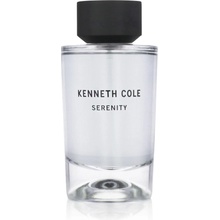 Kenneth Cole Intensity toaletní voda unisex 100 ml