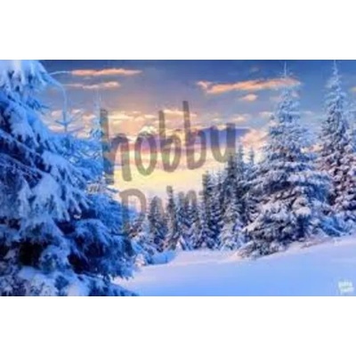 Зимен пейзаж 50/40 см