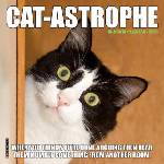 Willow Creek Press Calendars Cat-Astrophe 2026 7 X 7 Mini Wall Calendar | Willow Creek Press