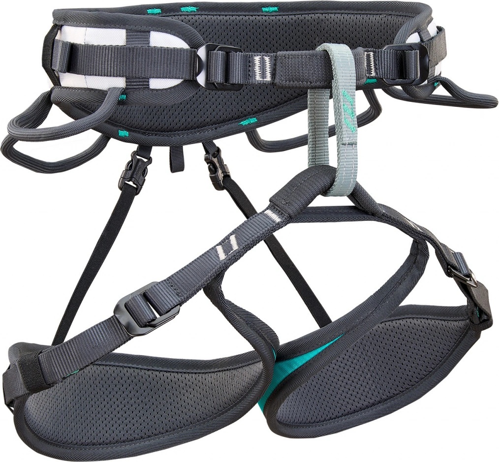 Climbing Technology Ascent