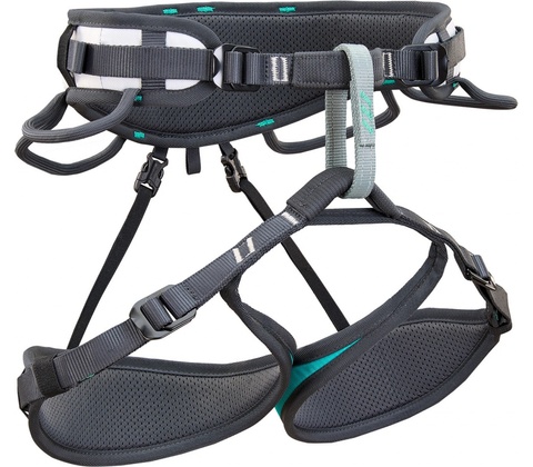 Climbing Technology Ascent