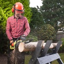 Image 1 of RYOBI RCS1935B (5133004338)