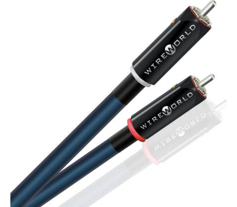 Wireworld Oasis 10