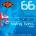 Rotosound RS66LN