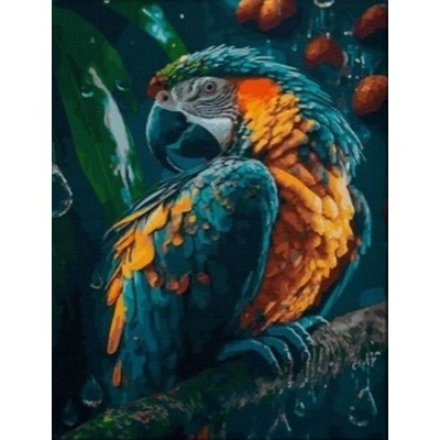 Norimpex Diamantové malování Papoušek 30 x 40 cm – Hledejceny.cz