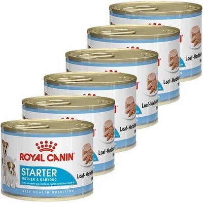 Royal Canin Starter Mousse 6 x 195 g