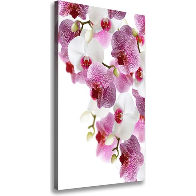 Vertikálny foto obraz na plátne do obývačky Orchidea 50x100 cm