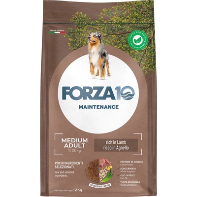 Forza 10 Maintenance Adult Medium jehněčí & rýže 12 kg