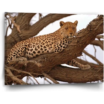 Sablio Obraz Leopard 2 - 60x40 cm