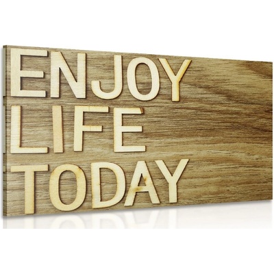 Obraz s citátom - Enjoy life today